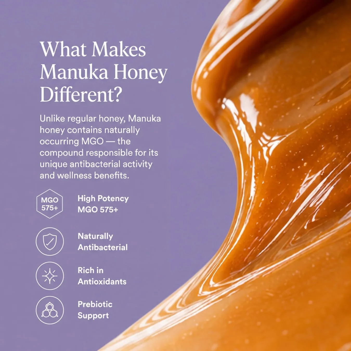 Egmont Honey MGO 575+ — Skin, Gut & Immune Support - Image 3