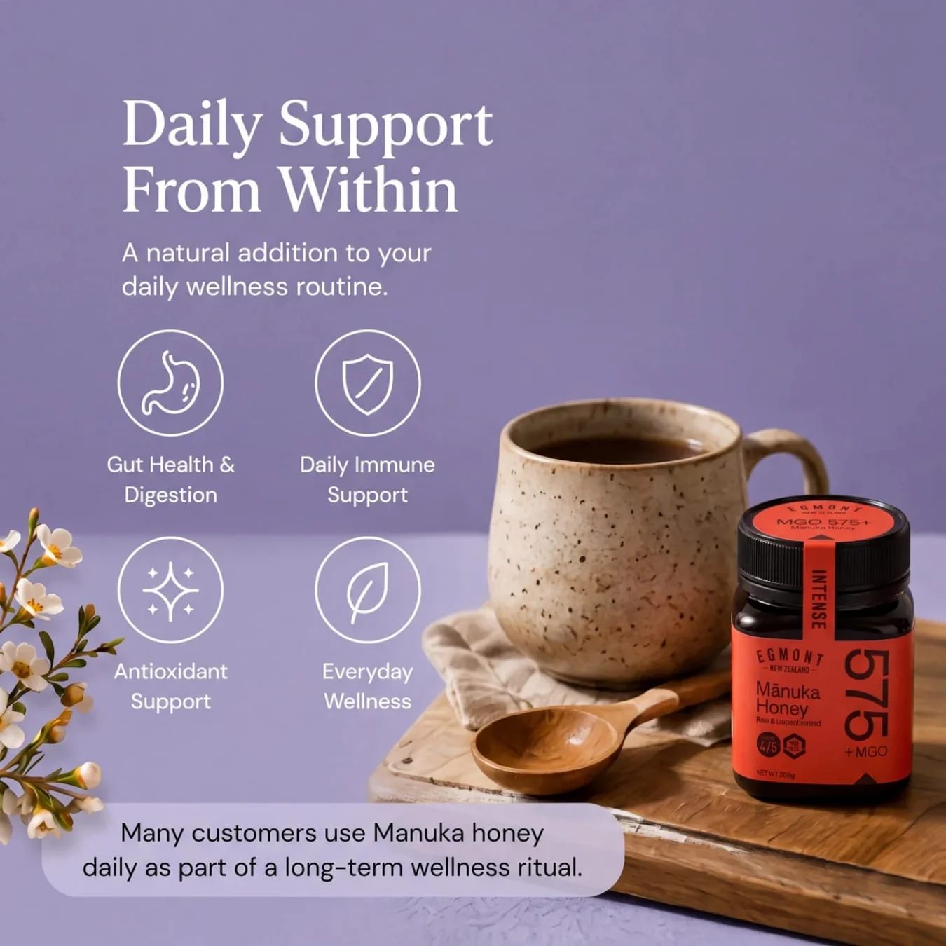 Egmont Honey MGO 575+ — Skin, Gut & Immune Support - Image 4